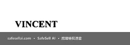 Vincent 风险图片 / evidence image