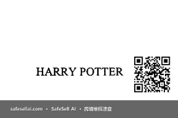 HARRY POTTER 风险图片 / evidence image
