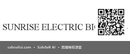ELECTRIC BICYCLE 风险图片 / evidence image