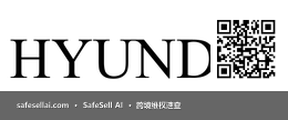 Hyundai 风险图片 / evidence image