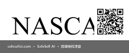 NASCAR 风险图片 / evidence image