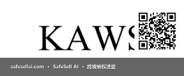 KAWS 风险图片 / evidence image