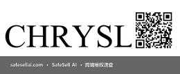 CHRYSLER 风险图片 / evidence image