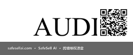 AUDI 风险图片 / evidence image