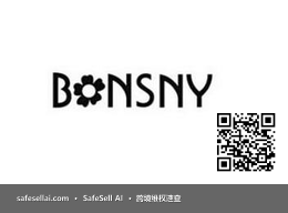 BONSNY 风险图片 / evidence image