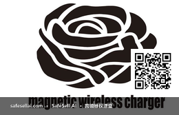 WIRELESS CHARGER 风险图片 / evidence image