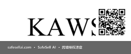 KAWS 风险图片 / evidence image