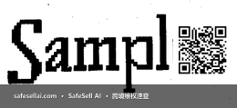 Sample 风险图片 / evidence image