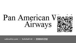 Pan American World Airways LLC 风险图片 / evidence image
