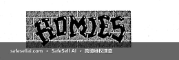 HOMIES 风险图片 / evidence image
