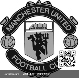 Manchester United Football Club Limited 风险图片 / evidence image