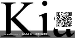 Kia Corporation 风险图片 / evidence image