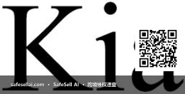 Kia Corporation 风险图片 / evidence image