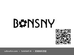 BONSNY 风险图片 / evidence image