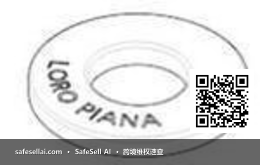 Loro Piana 风险图片 / evidence image