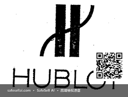 Hublot 风险图片 / evidence image