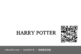 HARRY POTTER 风险图片 / evidence image