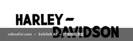 Harley-Davidson 风险图片 / evidence image