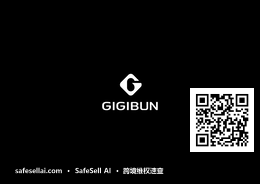 G GIGIBUN 风险图片 / evidence image