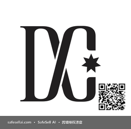 DC 风险图片 / evidence image