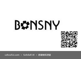 BONSNY 风险图片 / evidence image