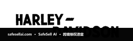 Harley-Davidson 风险图片 / evidence image