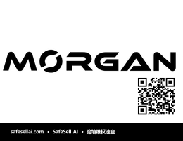 Morgan 风险图片 / evidence image