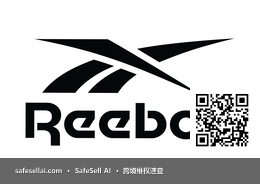 Reebok 风险图片 / evidence image