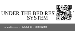 UNDER THE BED RESTRAINT SYSTEM 风险图片 / evidence image
