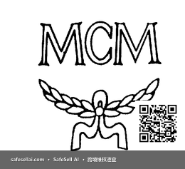 MCM 风险图片 / evidence image