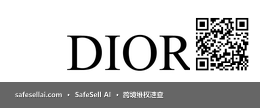 Dior 风险图片 / evidence image
