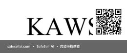 KAWS 风险图片 / evidence image