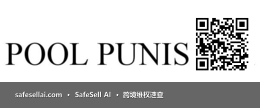 Pool Punisher 风险图片 / evidence image