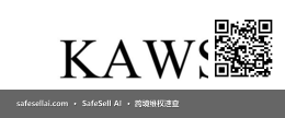KAWS 风险图片 / evidence image