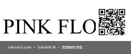 Pink Floyd 风险图片 / evidence image