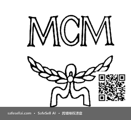 MCM 风险图片 / evidence image