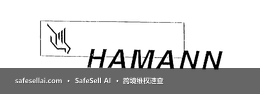 HAMANN 风险图片 / evidence image