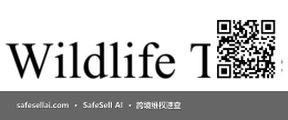 Life Tree 风险图片 / evidence image