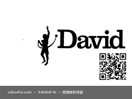 David (10/19closed) 风险图片 / evidence image