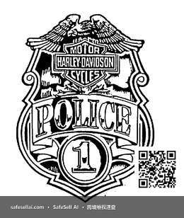 Harley Davidson 风险图片 / evidence image