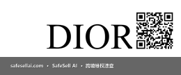 DIOR 风险图片 / evidence image