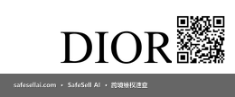 DIOR 风险图片 / evidence image