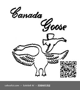Canada Goose 风险图片 / evidence image