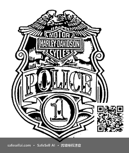 Harley Davidson 风险图片 / evidence image