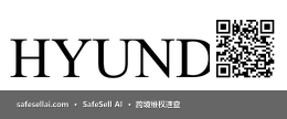HYUNDAI 风险图片 / evidence image