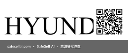 HYUNDAI 风险图片 / evidence image