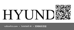 HYUNDAI 风险图片 / evidence image