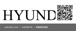 HYUNDAI 风险图片 / evidence image