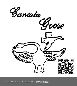 CANADA GOOSE 风险图片 / evidence image