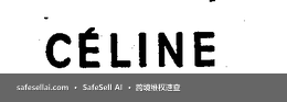 CELINE 风险图片 / evidence image